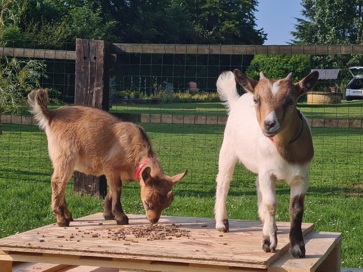 Gite Le Manege Normand Grand-Camp  Exteriör bild
